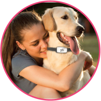 If you ever lost your dog, you know the how it feels. With Gibi Pet GPS Tracking, there is no waiting, no worrying, no posting lost dog signs. Find your pet with a click of a button. Peace of mind.