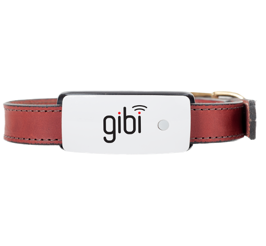 Gibi Pet GPS Trackers have most expansive coverage, sharpest accuracy, unlimited range and high quality.