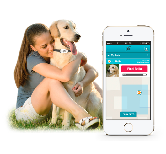 gibi dog tracker