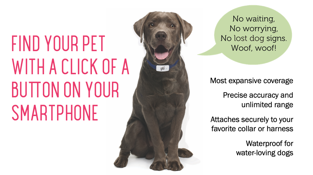 Gibi helps find your dog quickly, with the click of a button.